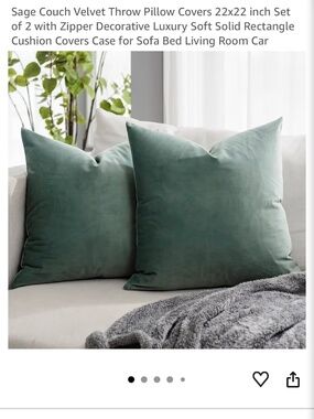 QUAFOO- Sage Velvet Pillow Covers, 2-pack, 22” x 22”